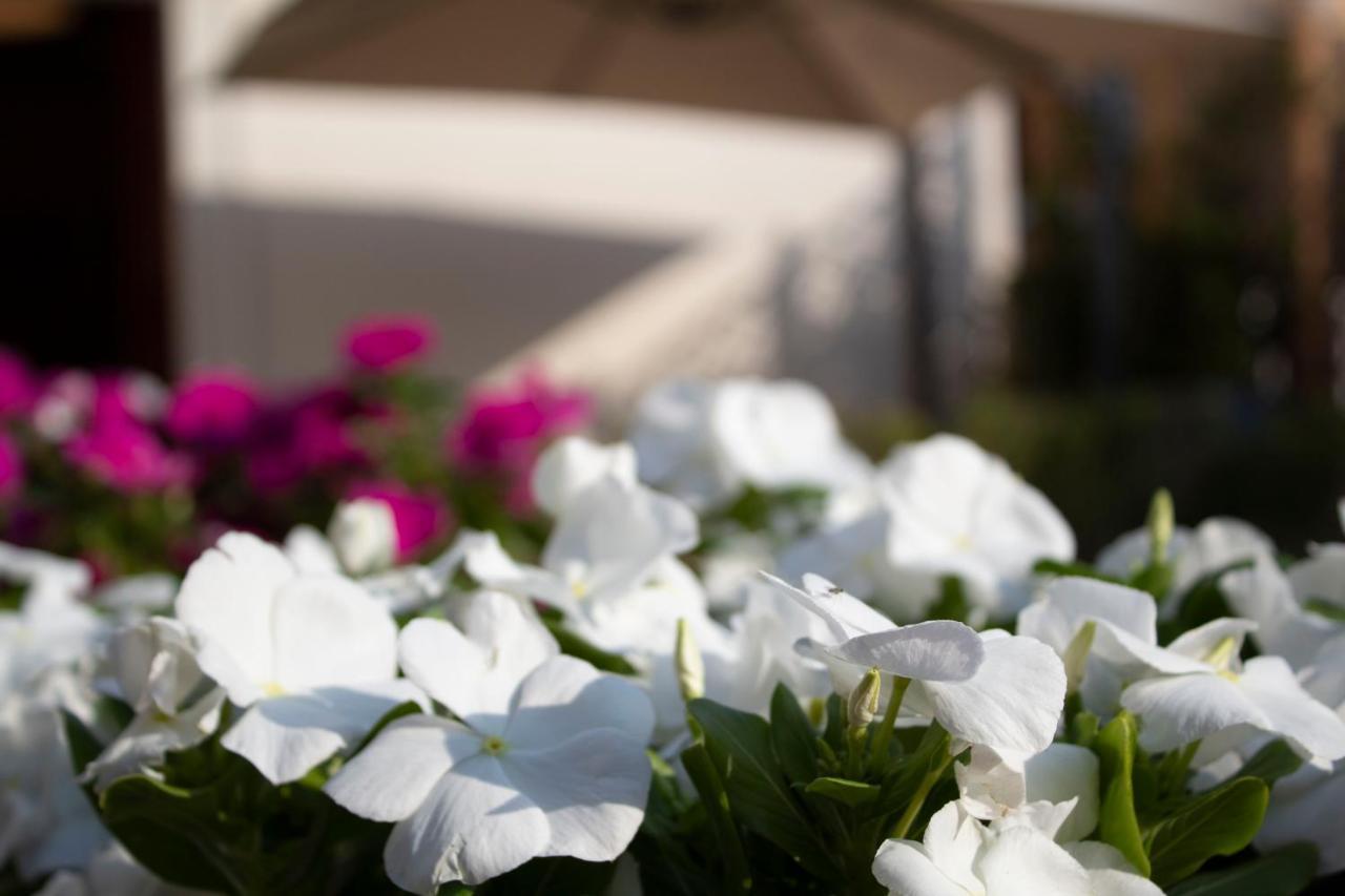 Relais Villa Montedonzelli Napoli Ngoại thất bức ảnh