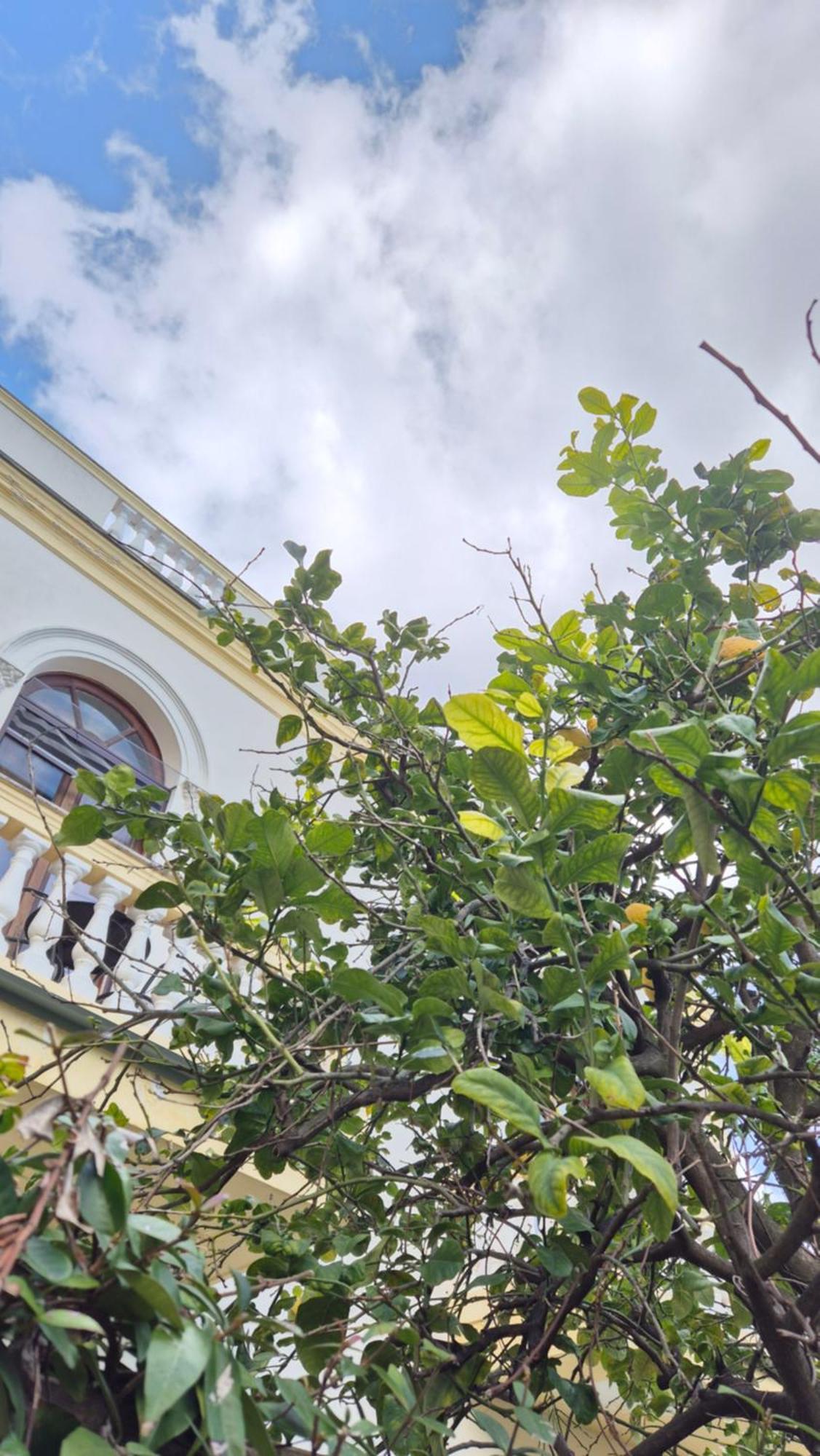 Relais Villa Montedonzelli Napoli Ngoại thất bức ảnh